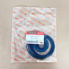 0816217 Ремкомплект гидромотора поворота 0976205 Hitachi