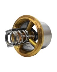 2485513 Термостат CAT