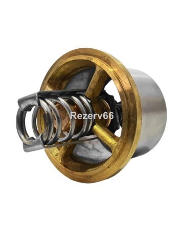 2485513 Термостат CAT