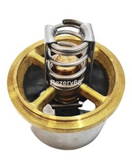 2485513 Термостат CAT