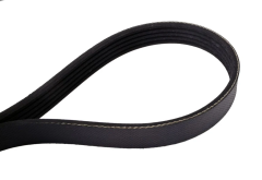 3084037 Ремень генератора CUMMINS