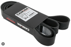 3806083 Поликлиновой ремень CUMMINS